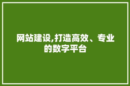 网站建设,打造高效、专业的数字平台