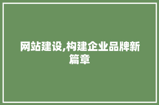 网站建设,构建企业品牌新篇章 网站建设,构建企业品牌新篇章