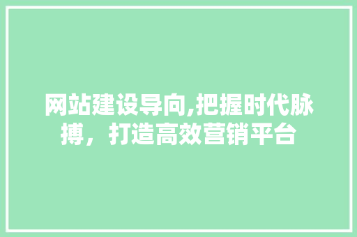 网站建设导向,把握时代脉搏，打造高效营销平台