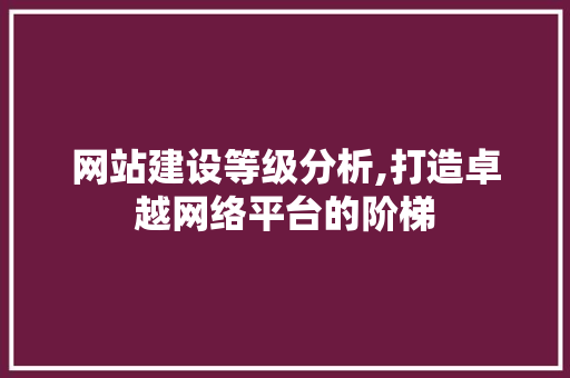 网站建设等级分析,打造卓越网络平台的阶梯