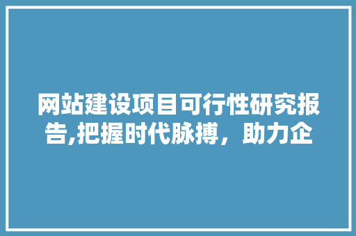 网站建设项目可行性研究报告,把握时代脉搏，助力企业发展