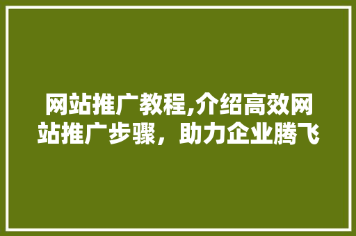网站推广教程,介绍高效网站推广步骤，助力企业腾飞