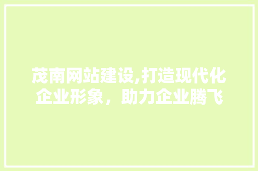 茂南网站建设,打造现代化企业形象，助力企业腾飞