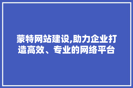 蒙特网站建设,助力企业打造高效、专业的网络平台