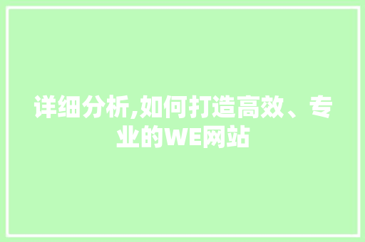 详细分析,如何打造高效、专业的WE网站
