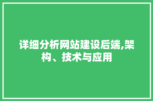 详细分析网站建设后端,架构、技术与应用