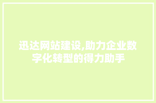 迅达网站建设,助力企业数字化转型的得力助手 编程语言