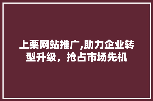上栗网站推广,助力企业转型升级，抢占市场先机