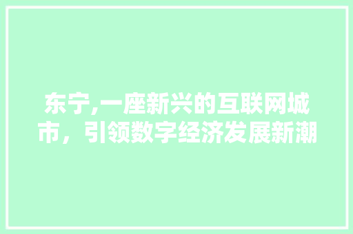 东宁,一座新兴的互联网城市，引领数字经济发展新潮流