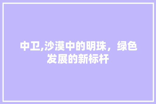 中卫,沙漠中的明珠，绿色发展的新标杆