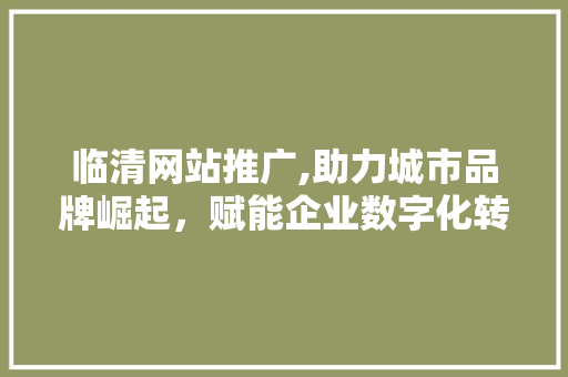 临清网站推广,助力城市品牌崛起，赋能企业数字化转型