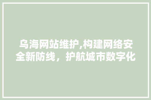 乌海网站维护,构建网络安全新防线，护航城市数字化转型