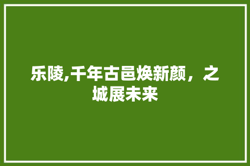 乐陵,千年古邑焕新颜，之城展未来