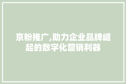京粉推广,助力企业品牌崛起的数字化营销利器