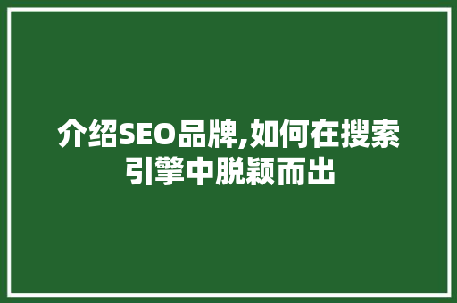 介绍SEO品牌,如何在搜索引擎中脱颖而出