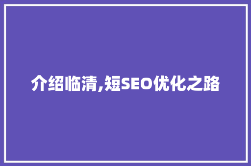 介绍临清,短SEO优化之路