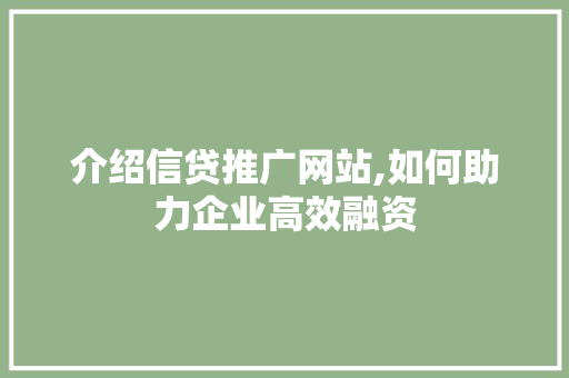 介绍信贷推广网站,如何助力企业高效融资