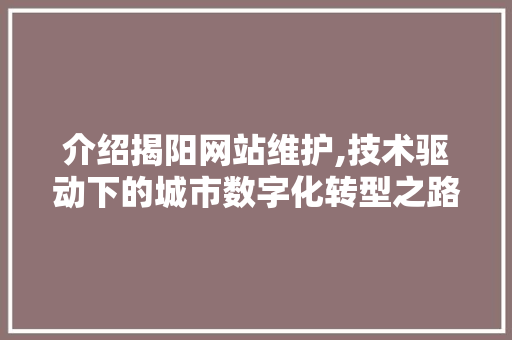 介绍揭阳网站维护,技术驱动下的城市数字化转型之路