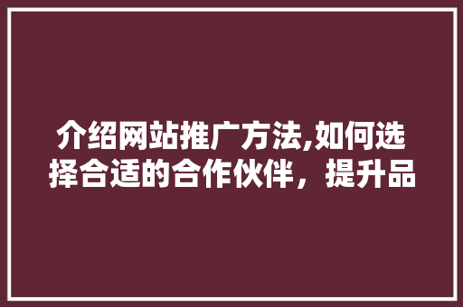 介绍网站推广方法,如何选择合适的合作伙伴，提升品牌影响力
