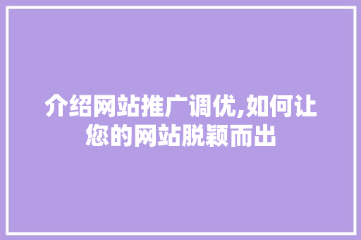介绍网站推广调优,如何让您的网站脱颖而出