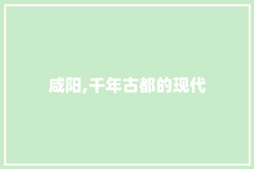 咸阳,千年古都的现代