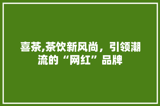 喜茶,茶饮新风尚，引领潮流的“网红”品牌 操作系统