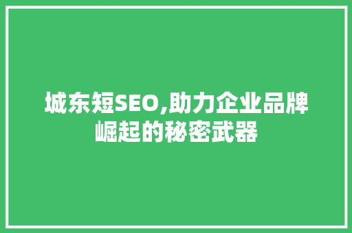 城东短SEO,助力企业品牌崛起的秘密武器