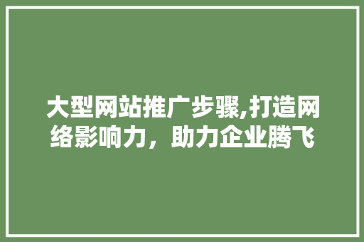 大型网站推广步骤,打造网络影响力，助力企业腾飞