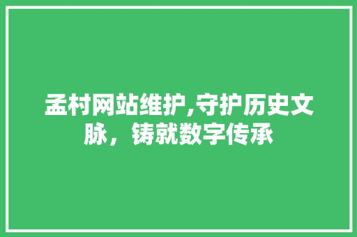 孟村网站维护,守护历史文脉,铸就数字传承 孟村网站维护,守护历史文脉,铸就数字传承
