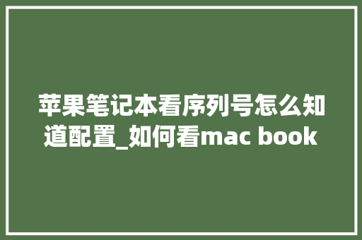 苹果笔记本看序列号怎么知道配置_如何看mac book配置 电脑故障维修