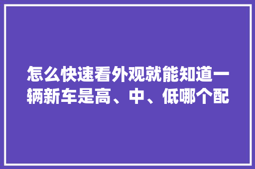 怎么快速看外观就能知道一辆新车是高、中、低哪个配置_台式电脑配置外表怎么看的