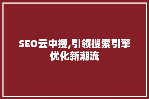 SEO云中搜,引领搜索引擎优化新潮流 电脑故障维修