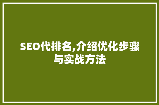 SEO代排名,介绍优化步骤与实战方法 电脑故障维修
