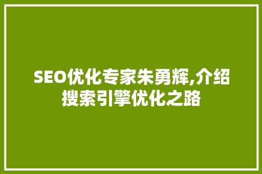 SEO优化专家朱勇辉,介绍搜索引擎优化之路