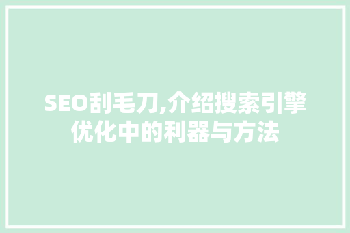SEO刮毛刀,介绍搜索引擎优化中的利器与方法