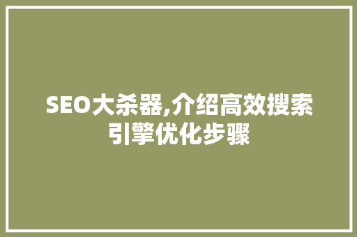 SEO大杀器,介绍高效搜索引擎优化步骤