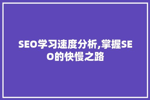 SEO学习速度分析,掌握SEO的快慢之路