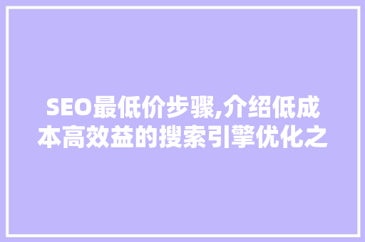 SEO最低价步骤,介绍低成本高效益的搜索引擎优化之路