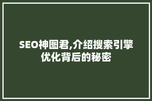 SEO神图君,介绍搜索引擎优化背后的秘密