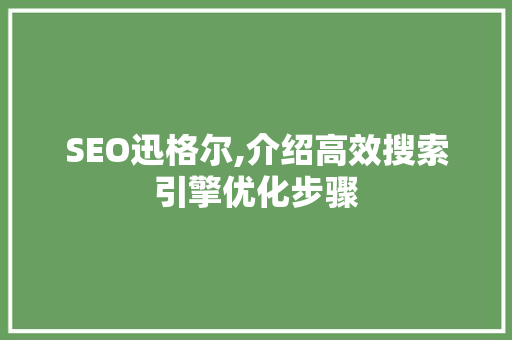 SEO迅格尔,介绍高效搜索引擎优化步骤