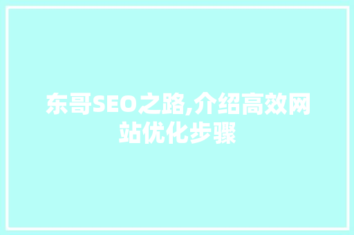 东哥SEO之路,介绍高效网站优化步骤