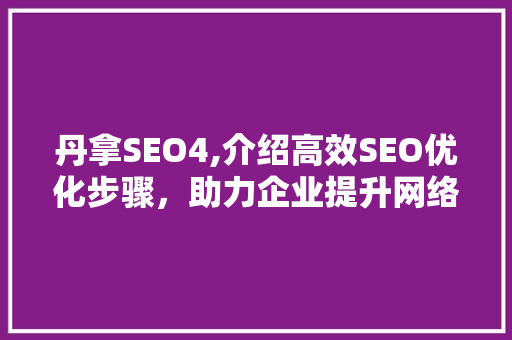 丹拿SEO4,介绍高效SEO优化步骤，助力企业提升网络竞争力