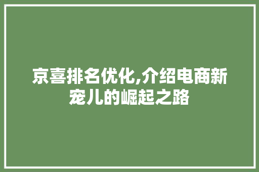 京喜排名优化,介绍电商新宠儿的崛起之路
