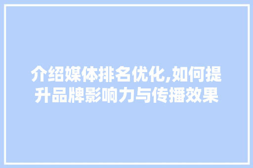 介绍媒体排名优化,如何提升品牌影响力与传播效果