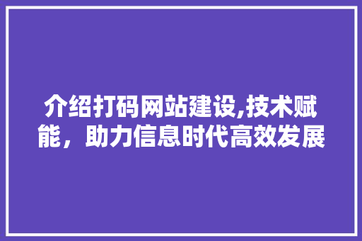介绍打码网站建设,技术赋能，助力信息时代高效发展