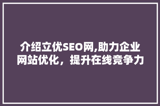 介绍立优SEO网,助力企业网站优化，提升在线竞争力 电脑故障维修