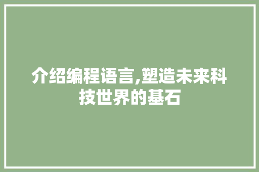 介绍编程语言,塑造未来科技世界的基石