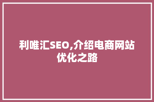 利唯汇SEO,介绍电商网站优化之路 利唯汇SEO,介绍电商网站优化之路