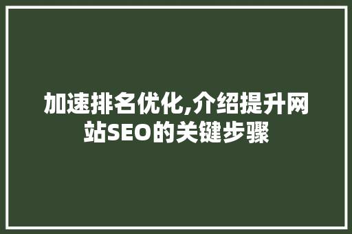 加速排名优化,介绍提升网站SEO的关键步骤