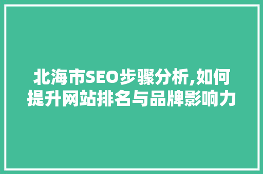 北海市SEO步骤分析,如何提升网站排名与品牌影响力